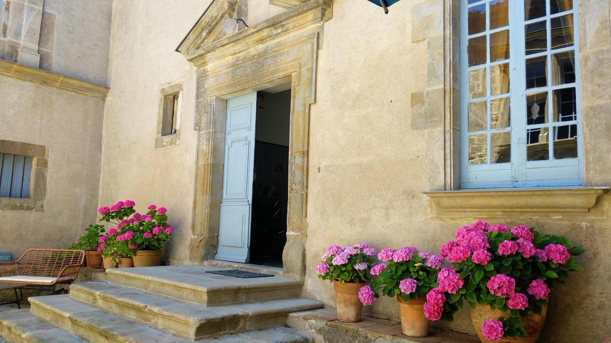 Chateau De Puicheric Εξωτερικό φωτογραφία